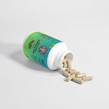 GNIKANORA Moringa Pure