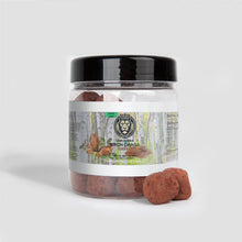 GNIKANORA Birch Chaga Truffles