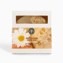 GNIKANORA Exfoliating Luffa Bar