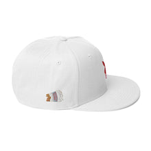 SBB-(R) Snapback Hat